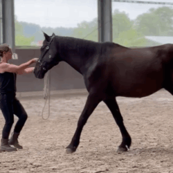 KENNISMAKINGSLES - 20% KORTING