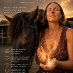 REIKI MENS SESSIE OP AFSTAND 45 MIN