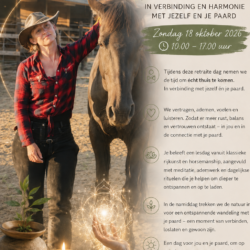 Retraite Dag met de paarden - Zondag 18 OKT 2026 – Thuiskomen in verbinding met jezelf en je paard